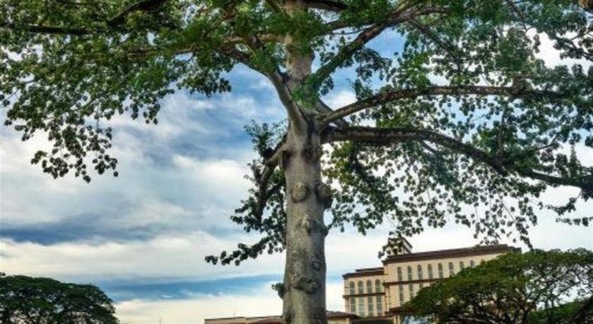 Hotel Hung Hung Κουτσίνγκ Εξωτερικό φωτογραφία